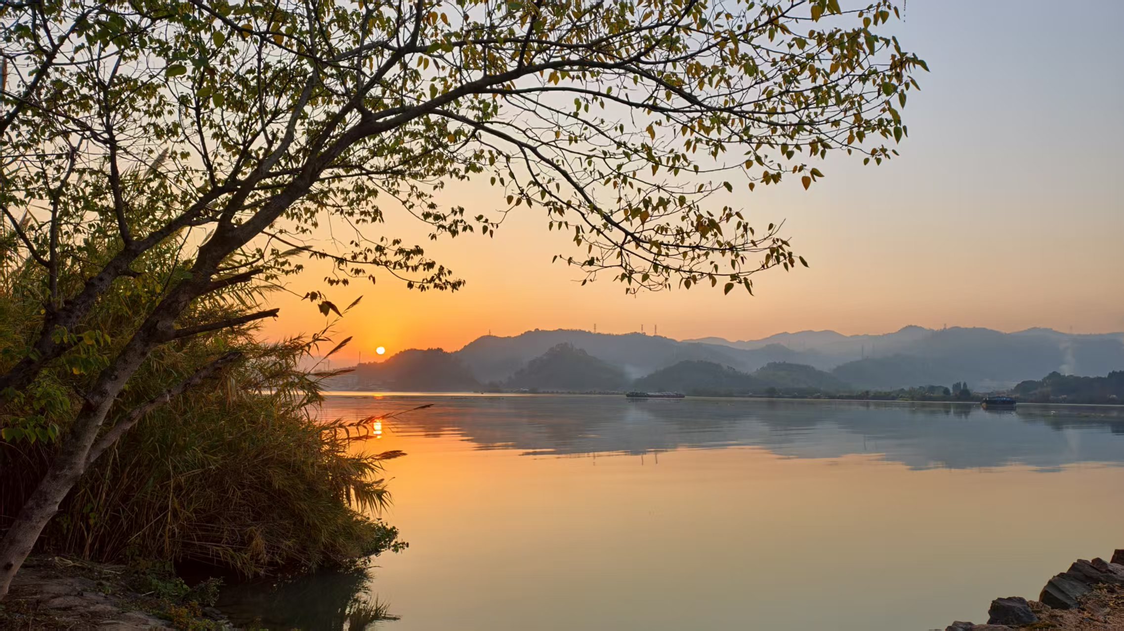 ABUIABACGAAgxYfJyQYo843cqgYw4xE4-wk